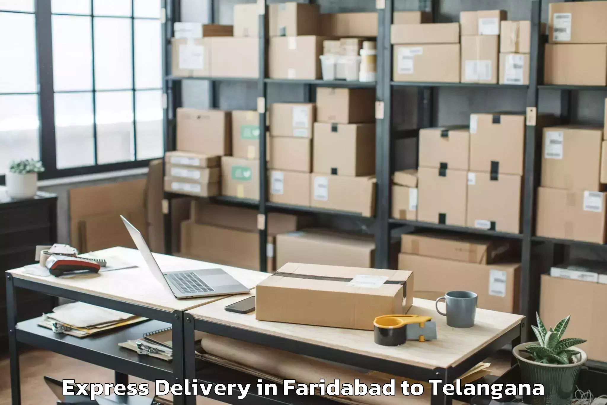 Get Faridabad to Ramadugu Express Delivery